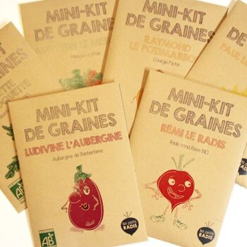 Mini kit de graines BIO de Gaspard la moutarde 5