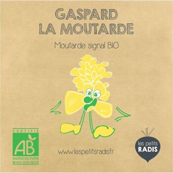 Mini kit de graines BIO de Gaspard la moutarde 2