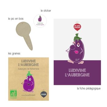 Mini kit de graines BIO de Ludivine l'aubergine 4