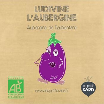 Mini kit de graines BIO de Ludivine l'aubergine 2