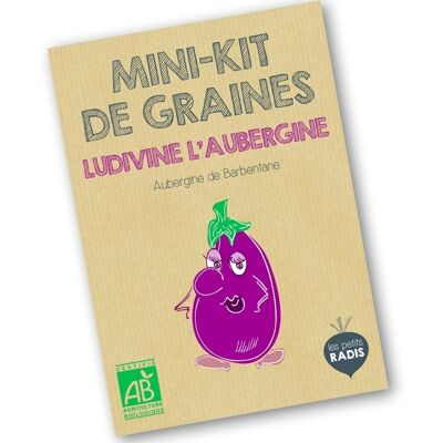 Mini organic seed kit of Ludivine aubergine