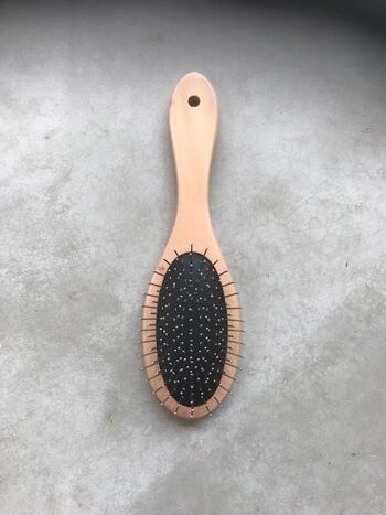 Brosse pour animaux de compagnie Hair Of The Dog 3