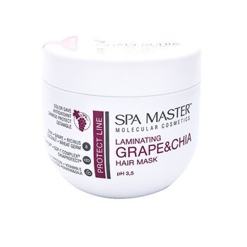 SPA MASTER Masque Capillaire Color Protect // 500ml 1