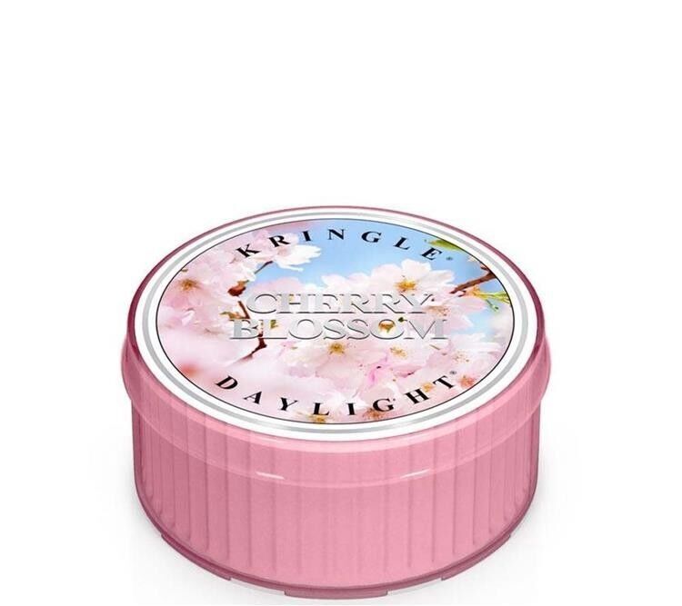Candela profumata Cherry Blossom Daylight