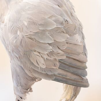 Heron aux nuances de
 noir et gris en plumes
 hauteur 120 cm heron 5