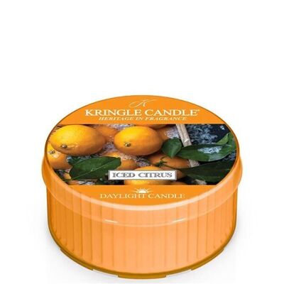 Iced Citrus Daylight scented candle