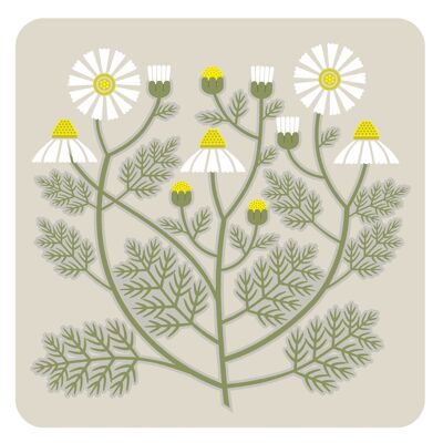 Camomile table mat 222mm x 222mm square