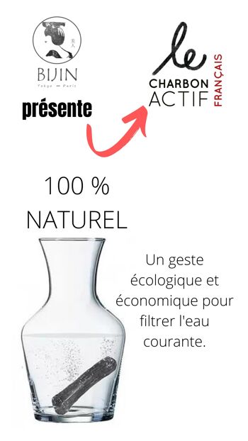 Charbon Actif végétal français : bâton filtrant 4