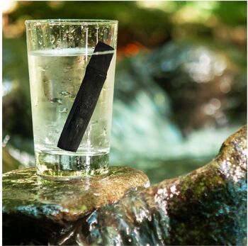 Charbon végétal français filtre à eau naturel : bâton filtrant 4