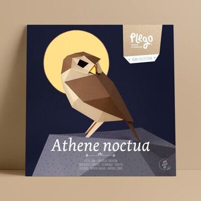 ATHENE NOCTUA Kit figura di carta