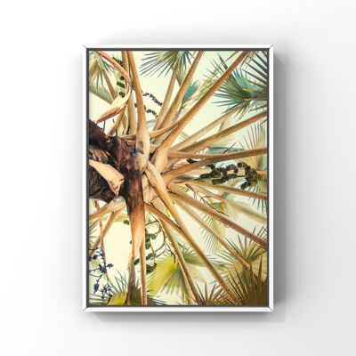Palm Tree - A4