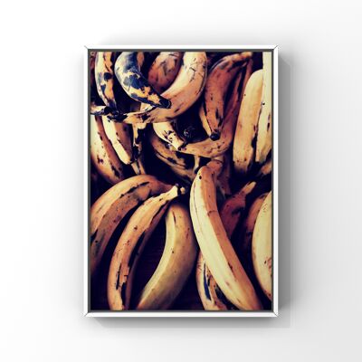 Plantain - A3