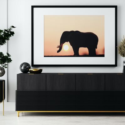 Elephant sunset II - A2