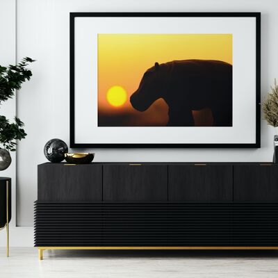 Hippo sunset - A3