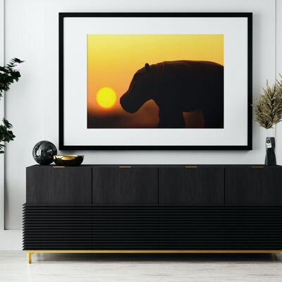 Hippo sunset - A2