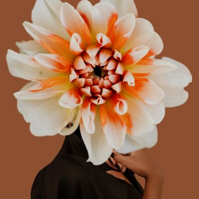 Flowerbomb - A3 - brown background