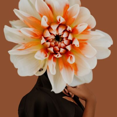 Flowerbomb - A4 - brown background