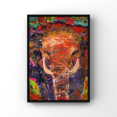 Elephant colour - A5