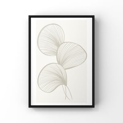 Petals - A4