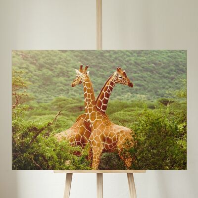 Twiga Canvas - rectangle 12x16"