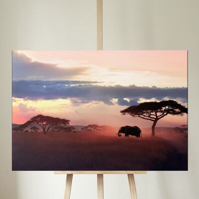 Wild Elephant Canvas - rectangle 8x10"