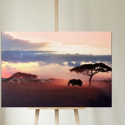 Wild Elephant Canvas - rectangle 12x16"