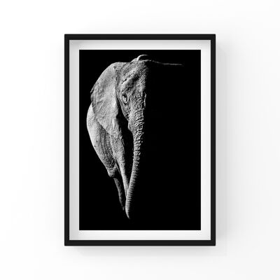 Trunk Poster - A4