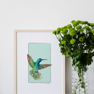 Watercolor paper postcard & poster - Hummingbird - Wall decoration - Nature and animal illustration - Art print painting