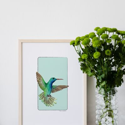 Postal y póster de papel de acuarela - Colibrí - Decoración de pared - Ilustración de naturaleza y animales - Pintura de impresión de arte