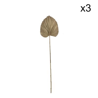 SET OF 3 DECORATIONS
 DRIED PALM LEAVES
 H195-198CM RAILAY