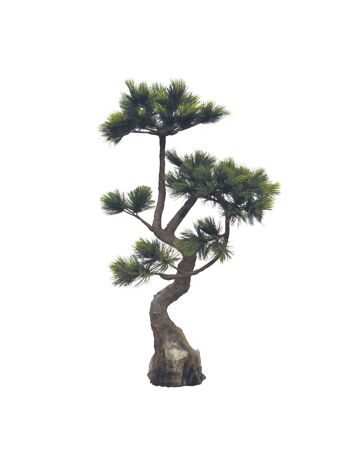 Pin du japon artificiel
 tronc fibre verr+feuille
 pvc ø95x190cm pinus 1