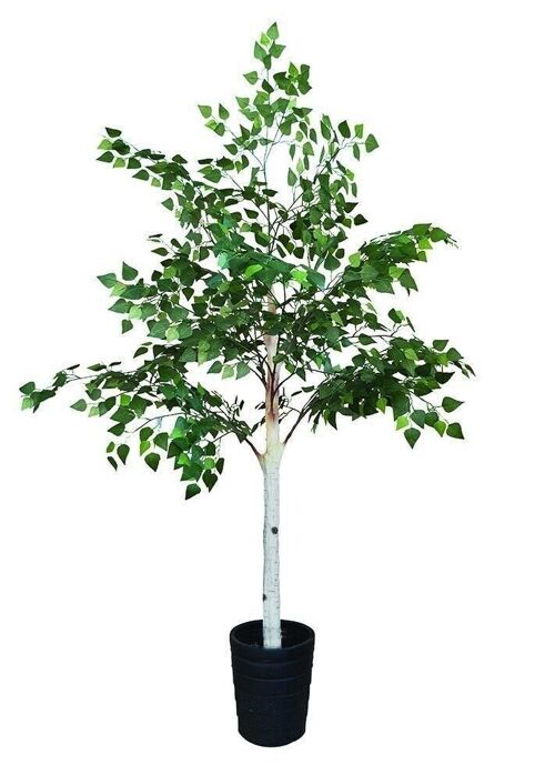 Bouleau artificiel avec
 pot noir pour interieur
 fray