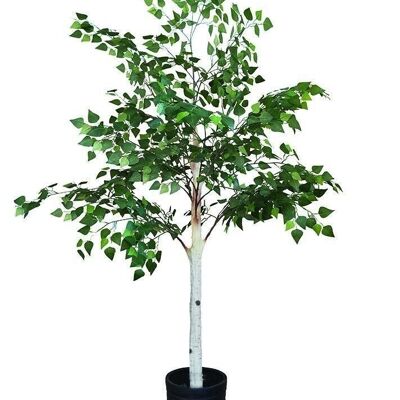 ARTIFICIAL BIRCH WITH
 BLACK INDOOR POT
 FRAY
