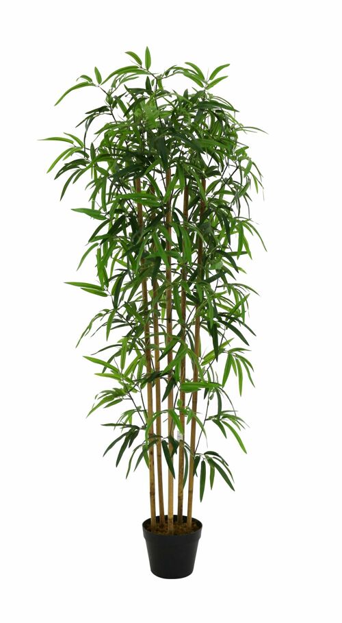 Bambou artificiel
 ht158cm esprit vegetal