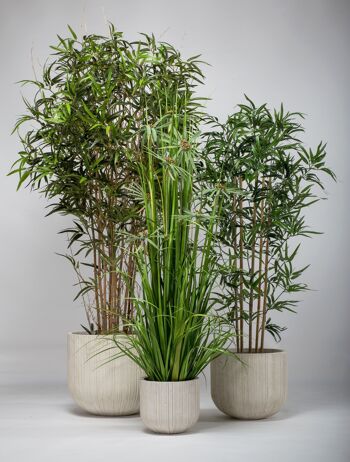 Bambou artificiel
 ht158cm esprit vegetal 3