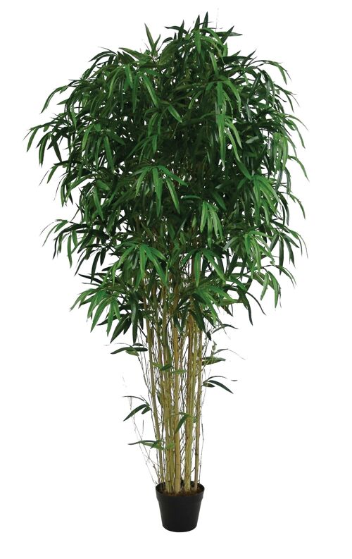Bambou artificiel
 ht175cm esprit vegetal