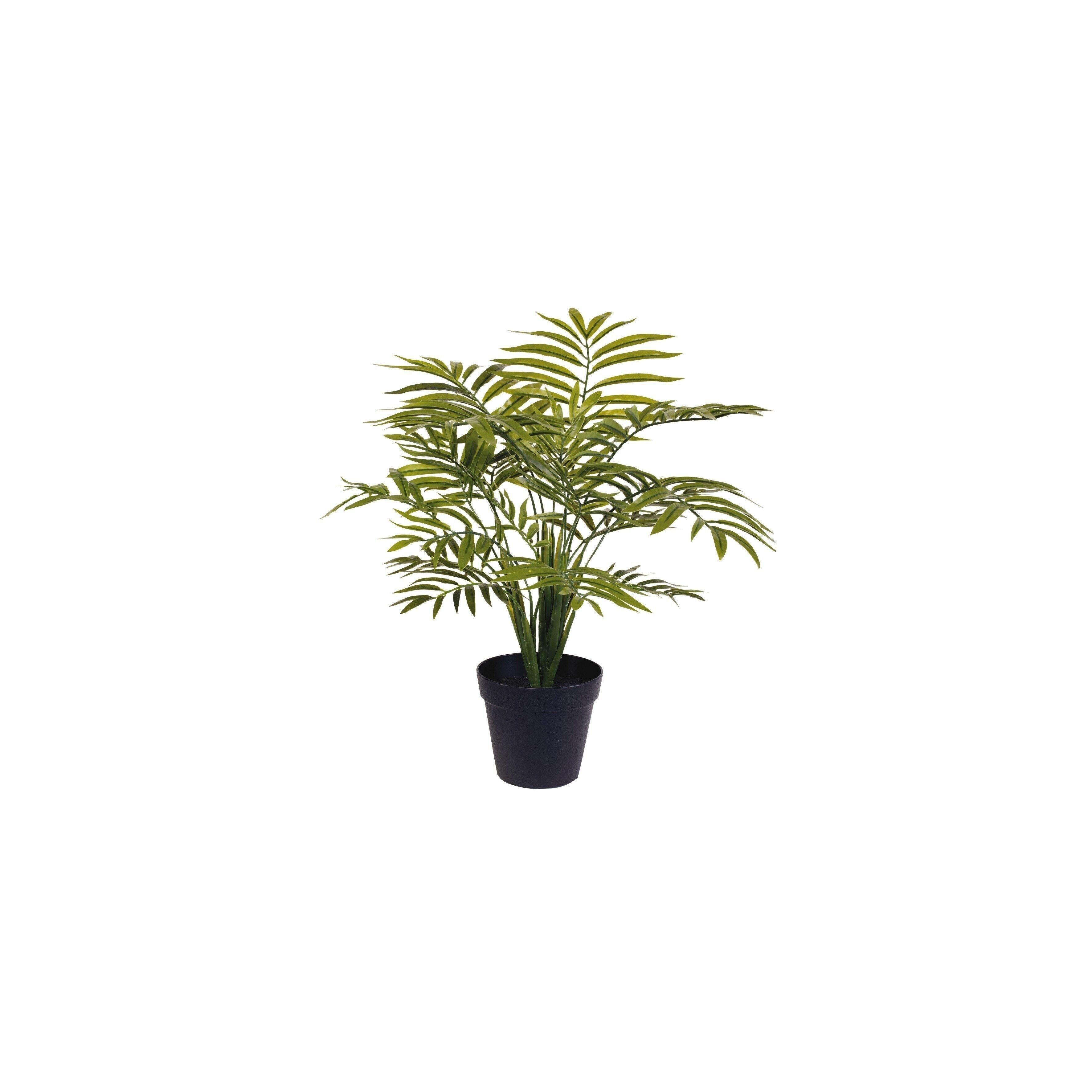 FÉNIX ARTIFICIAL
 ALCOHOL VEGETAL HT 46 CM