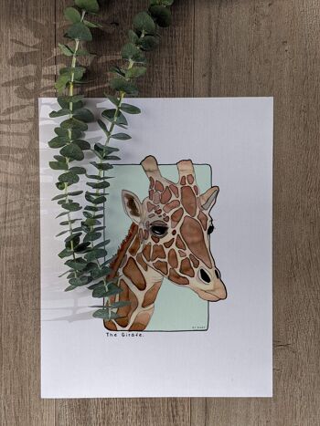 Carte postale & Affiche papier aquarelle - Girafe - Décoration murale - Illustration nature et animaux - Tirage d'art peinture 1