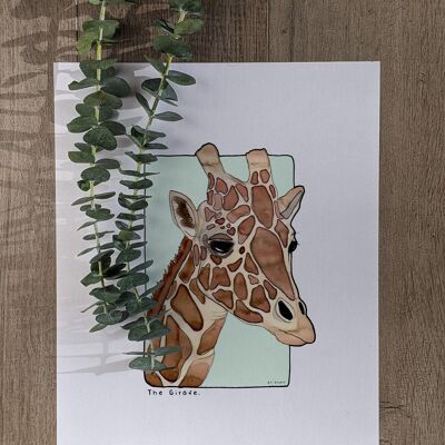 Postal & Póster papel acuarela - Jirafa - Decoración pared - Ilustración naturaleza y animales - Pintura lámina