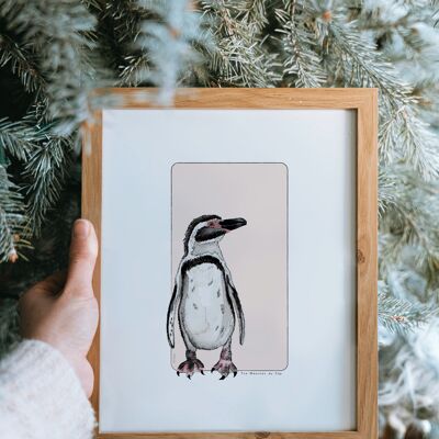 Postal y póster de papel de acuarela - Pingüino del cabo - Decoración de pared - Ilustración de naturaleza y animales - Pintura de impresión de arte