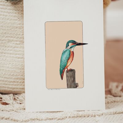 Watercolor paper postcard & poster - Kingfisher - Wall decoration - Nature and animal illustration - Painting art print