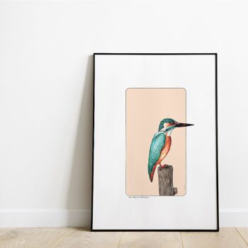 Carte postale & Affiche papier aquarelle - Martin pêcheur - Décoration murale - Illustration nature et animaux - Tirage d'art peinture 2
