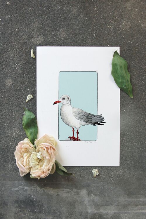 Carte postale & Affiche papier aquarelle - Mouette - Décoration murale - Illustration nature et animaux - Tirage d'art peinture