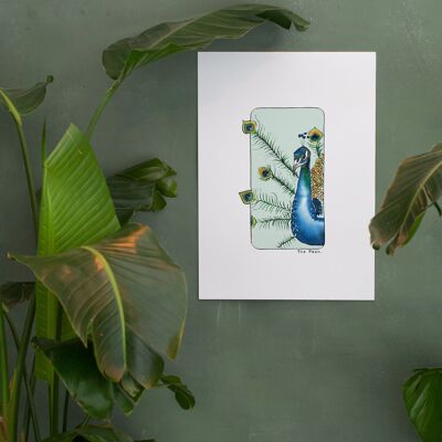 Aquarellpapier Postkarte & Poster - Pfau - Wanddekoration - Natur- und Tierillustration - Kunstdruck Malerei