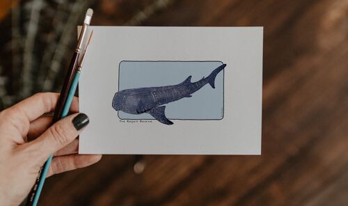 Carte postale & Affiche papier aquarelle - Requin Baleine - Décoration murale - Illustration nature et animaux - Tirage d'art peinture