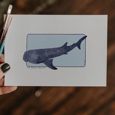Postal y póster de papel de acuarela - Tiburón ballena - Decoración de pared - Ilustración de naturaleza y animales - Pintura de impresión de arte
