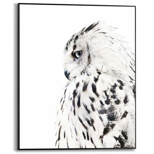 Slim Frame White Owl 40x50 cm