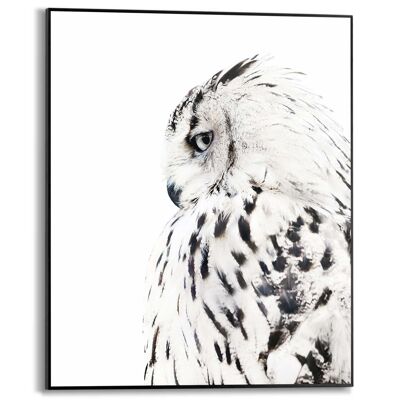 Slim Frame White Owl 40x50 cm