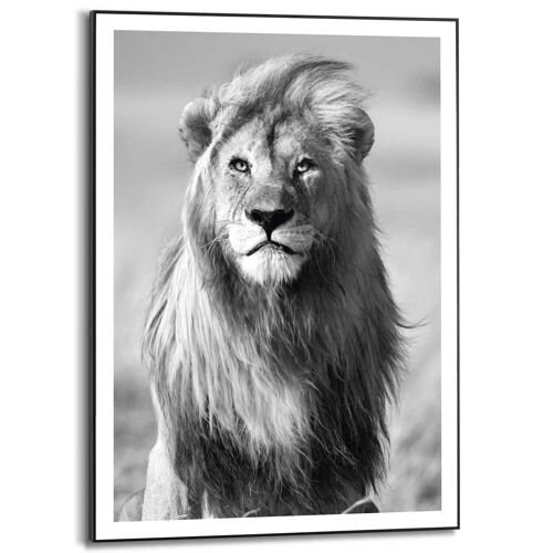 Slim Frame Lion's Crest 50x70 cm