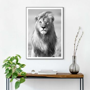 Cadre fin Lion's Crest 50x70 cm 2